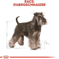 Royal Canin Hundefoder Royal Canin Miniature Schnauzer Adult 7,5 kg - tørfoder til voksne hunde