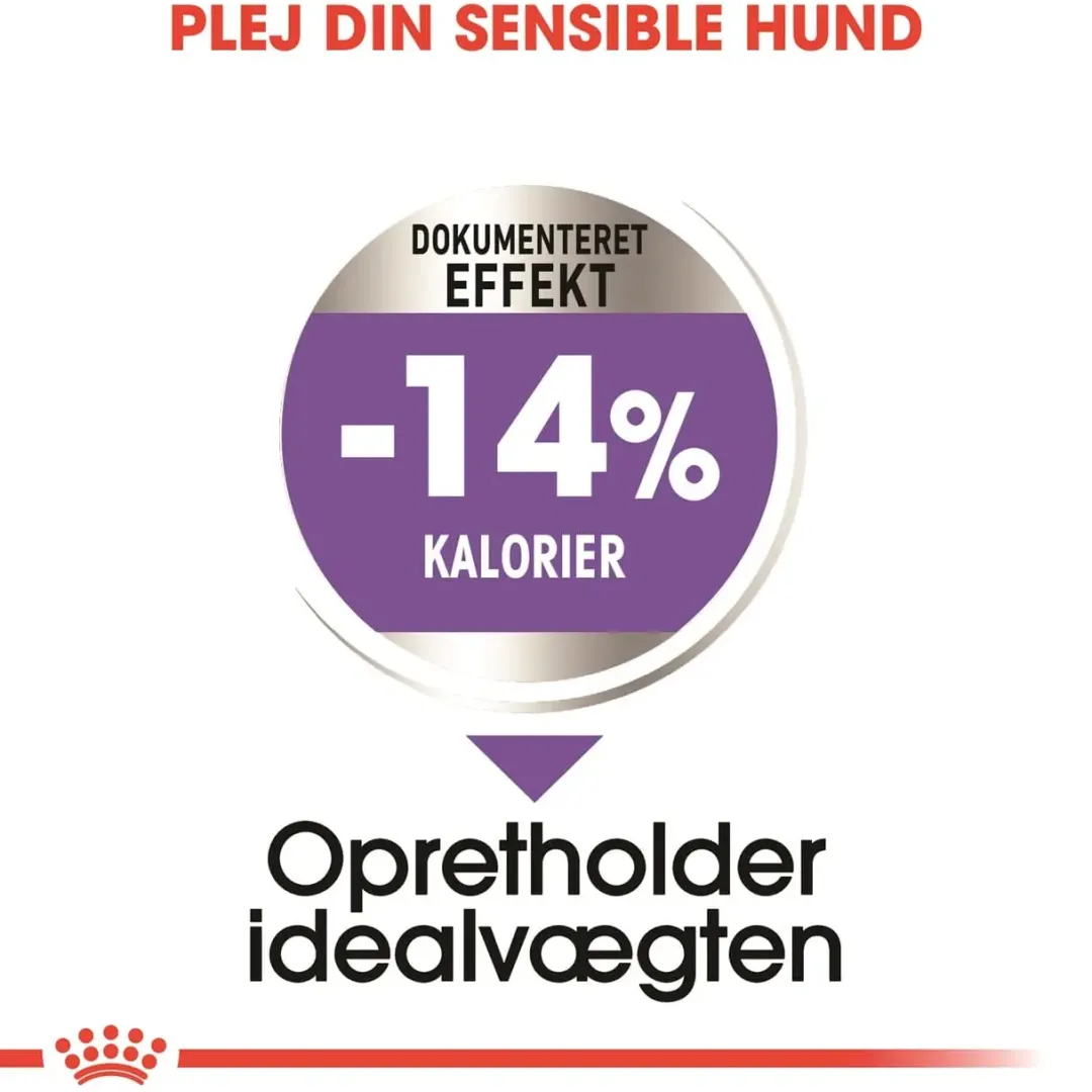 Royal Canin Hundefoder Royal Canin Mini Sterilised Adult 8 kg - hundefoder til steriliserede små hunde