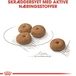 Royal Canin Hundefoder Royal Canin Mini Sterilised Adult 8 kg - hundefoder til steriliserede små hunde