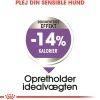 Royal Canin Hundefoder Royal Canin Mini Sterilised Adult 3 kg - hundefoder til små steriliserede hunde