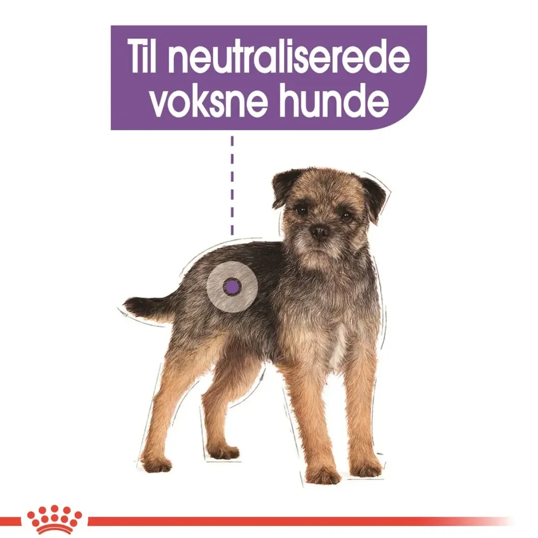 Royal Canin Hundefoder Royal Canin Mini Sterilised Adult 3 kg - hundefoder til små steriliserede hunde