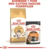 Royal Canin Kattefoder Royal Canin Norsk Skovkat 10 kg (Norwegian Forest Cat)