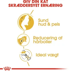 Royal Canin Kattefoder Royal Canin Norsk Skovkat 10 kg (Norwegian Forest Cat)