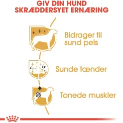 Royal Canin Hundefoder Royal Canin Poodle Adult 1,5 kg - tørfoder til voksne pudler
