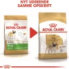Royal Canin Hundefoder Royal Canin Pug Adult 7,5 kg - tørfoder til mops
