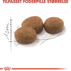 Royal Canin Kattefoder Royal Canin Regular Sterilised 10 kg