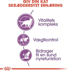 Royal Canin Kattefoder Royal Canin Regular Sterilised +7 3,5 kg