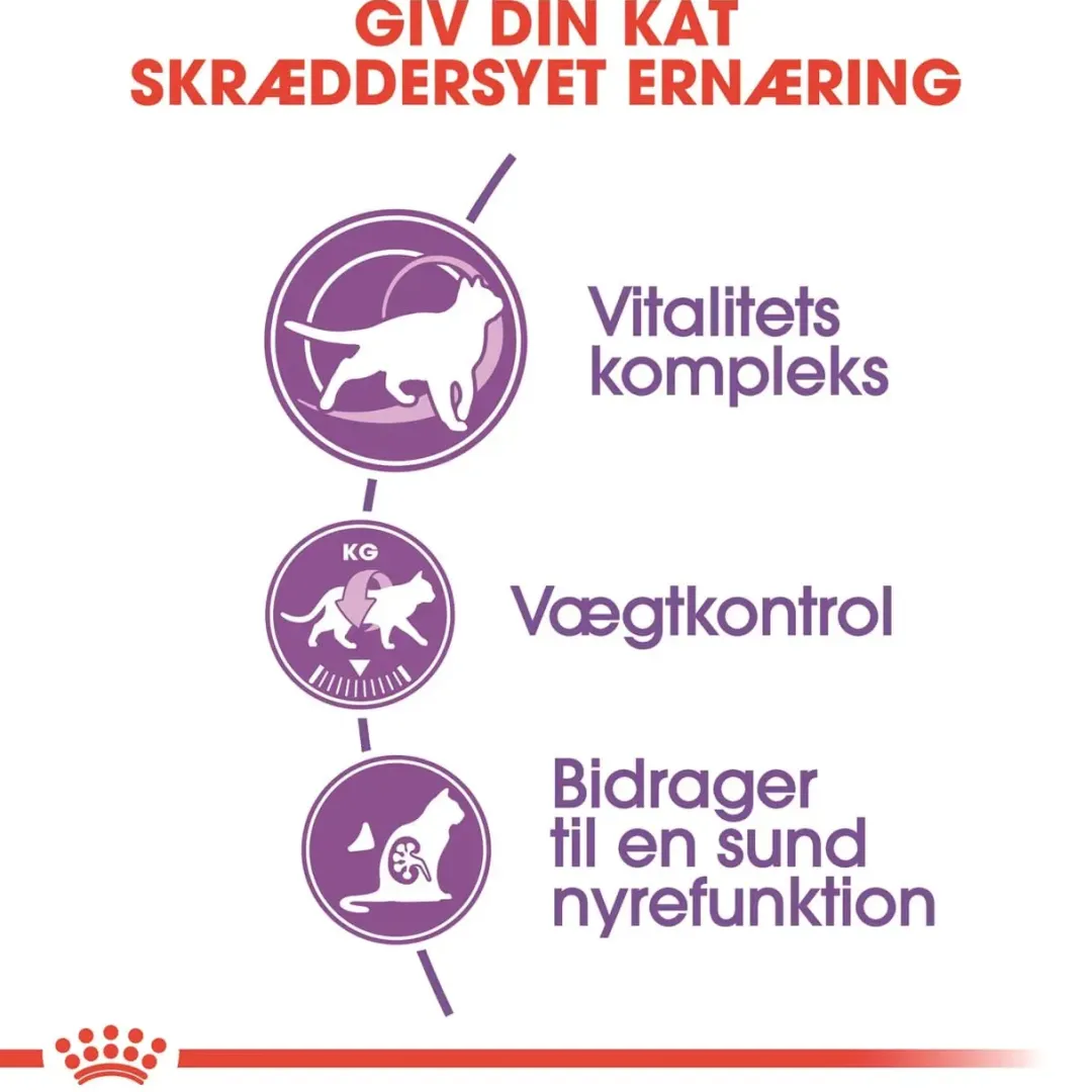 Royal Canin Kattefoder Royal Canin Regular Sterilised +7 10 kg