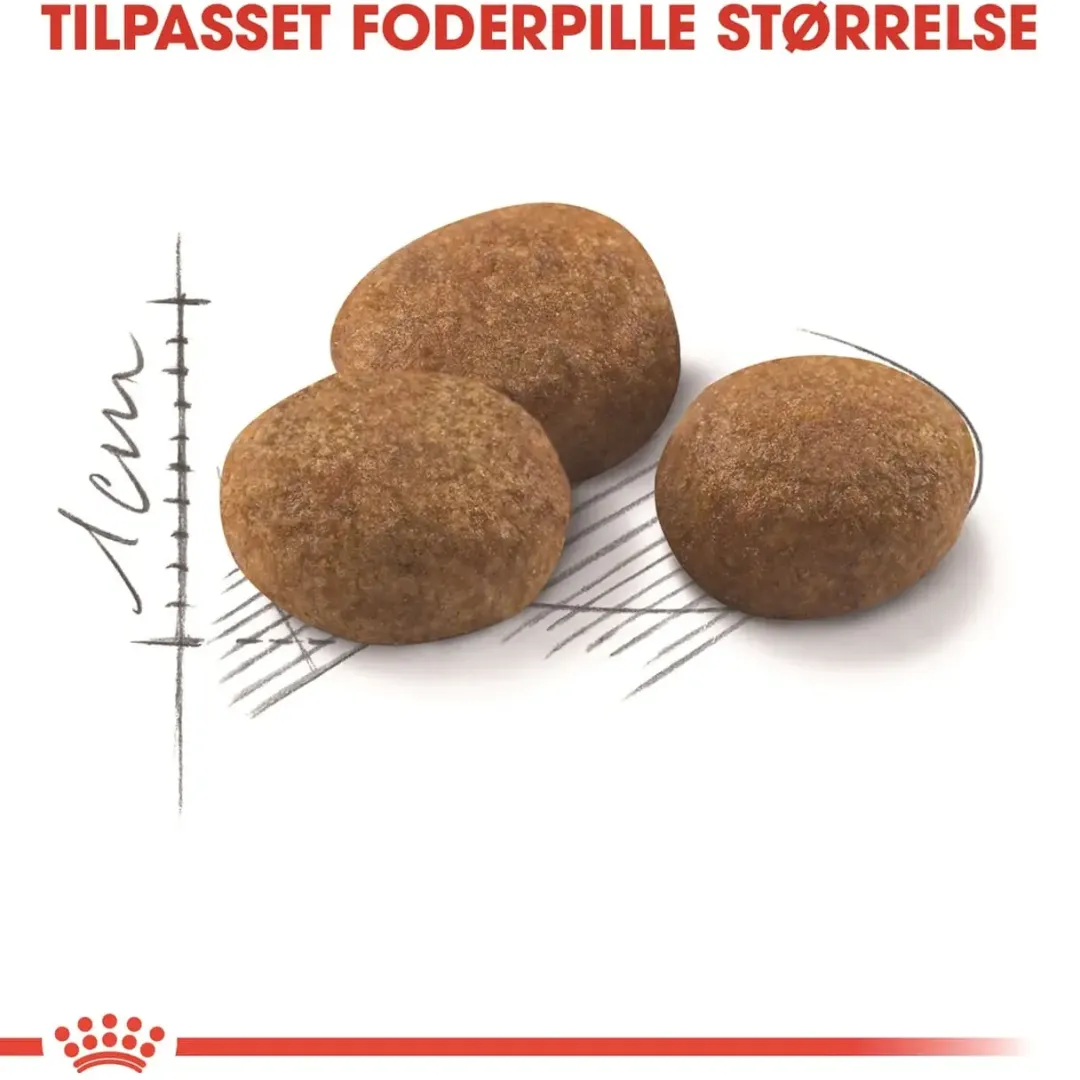 Royal Canin Kattefoder Royal Canin Regular Sterilised +7 10 kg