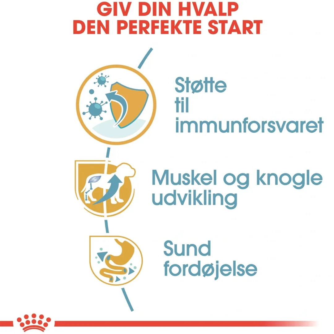 Royal Canin Hundefoder Royal Canin Rottweiler Puppy 12 kg - tørfoder til hvalpe