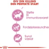 Royal Canin Kattefoder Royal Canin Second Age Kitten 400 g