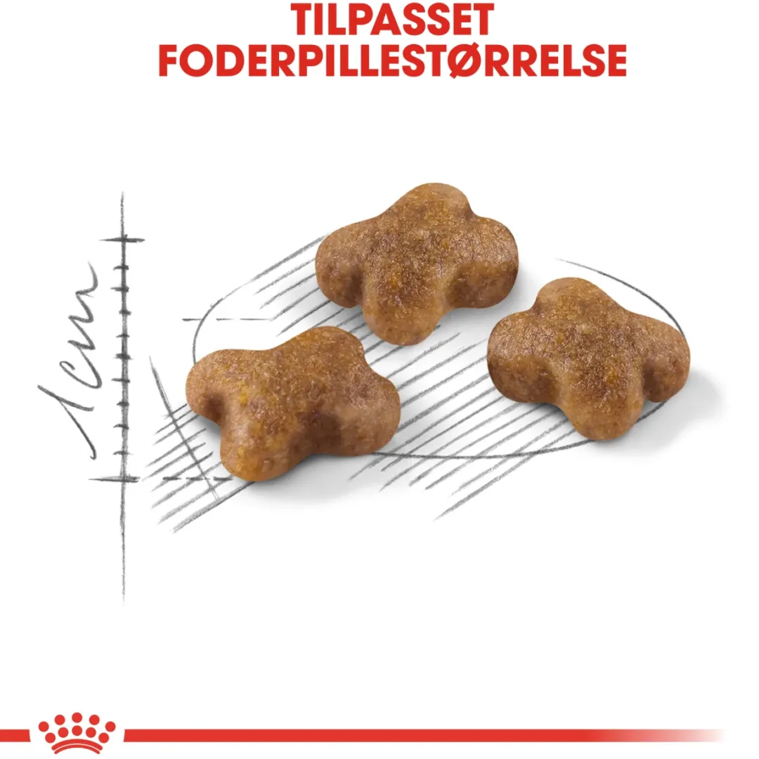 Royal Canin Kattefoder Royal Canin Second Age Kitten 2 kg