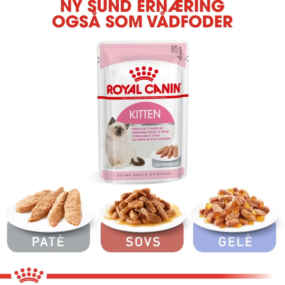 Royal Canin Kattefoder Royal Canin Second Age Kitten 2 kg