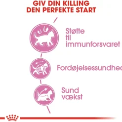 Royal Canin Kattefoder Royal Canin Second Age Kitten 4 kg