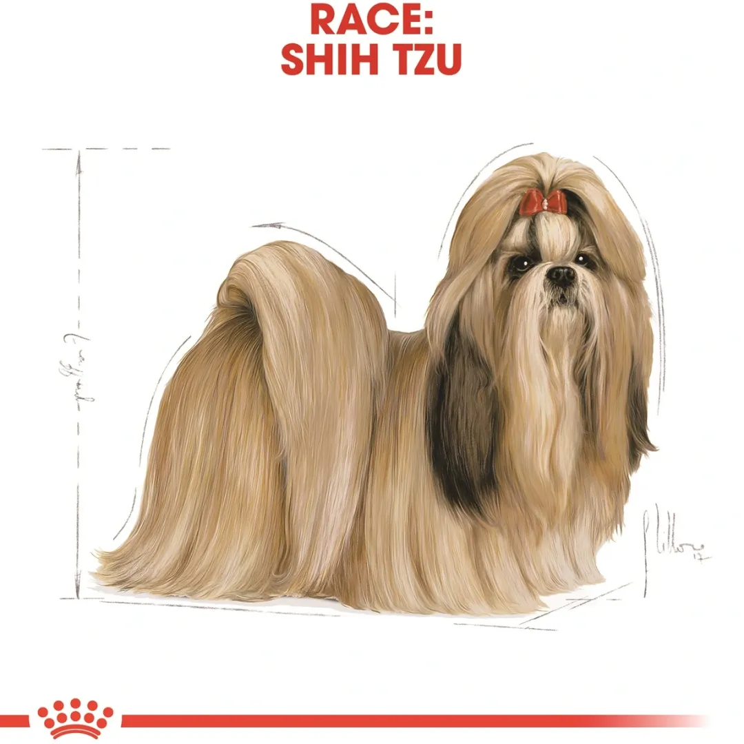 Royal Canin Hundefoder Royal Canin Shih Tzu Adult 1,5 kg - tørfoder til små hunde