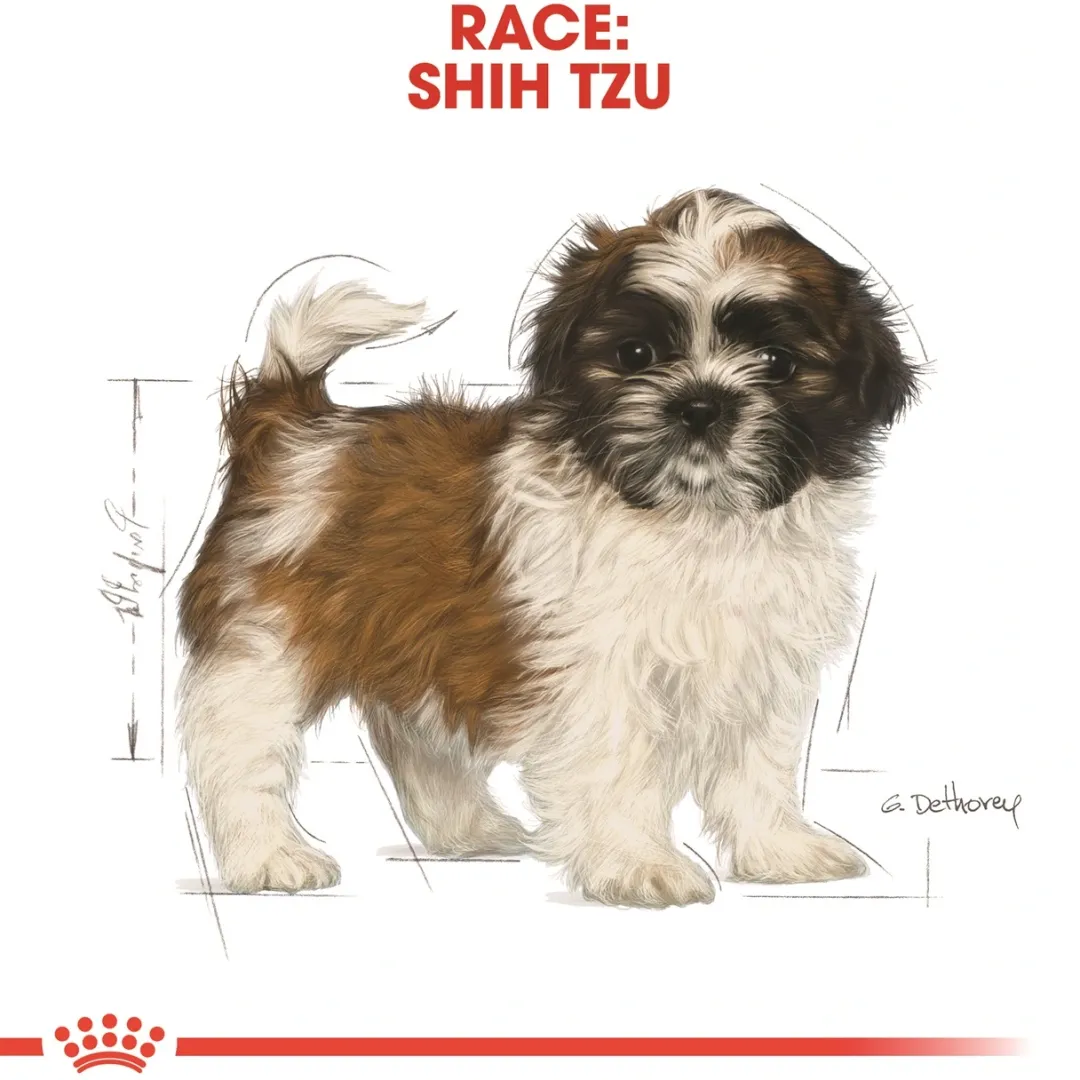 Royal Canin Hundefoder Royal Canin Shih Tzu Puppy 1,5 kg - tørfoder til hvalpe