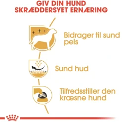 Royal Canin Hundefoder Royal Canin West Highland White Terrier Adult 3 kg - tørfoder til Westie
