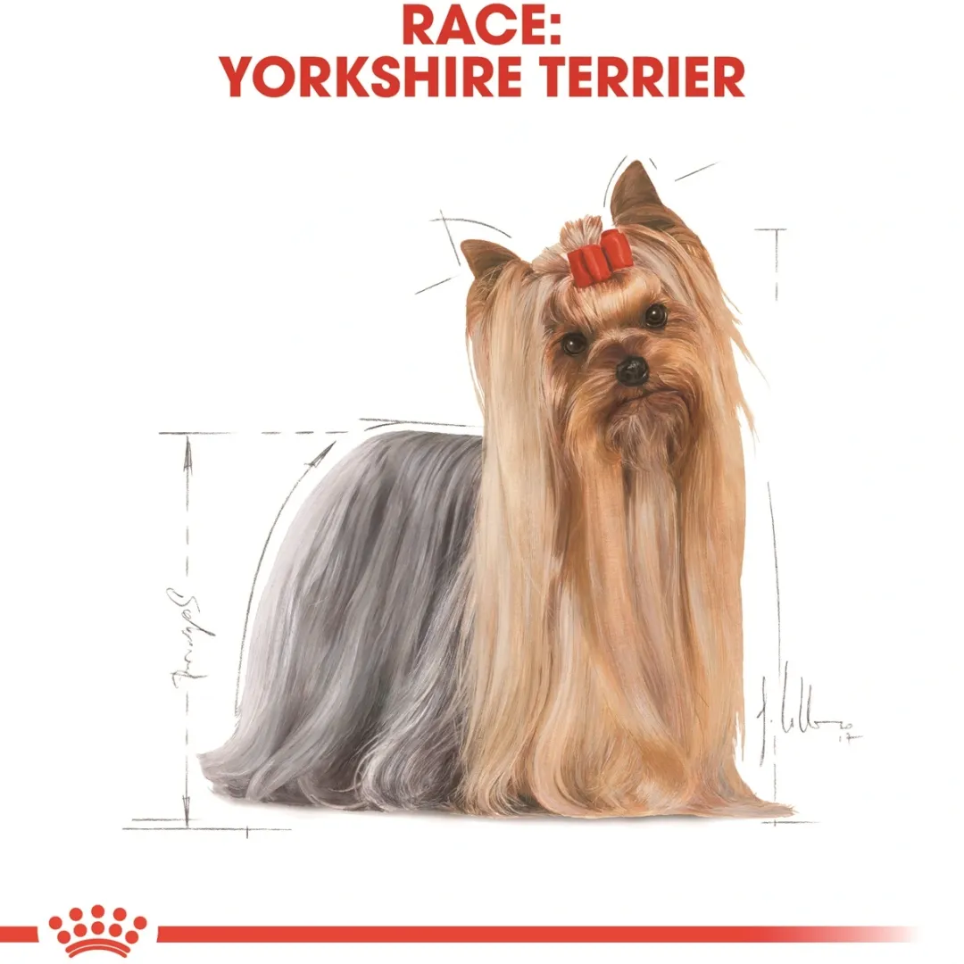 Royal Canin Hundefoder Royal Canin Yorkshire Terrier Adult 1,5 kg - tørfoder til små hunde