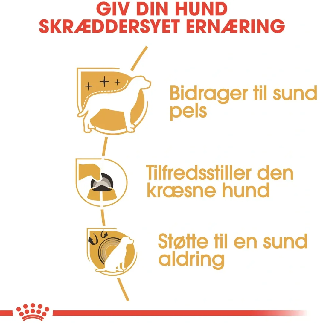 Royal Canin Hundefoder Royal Canin Yorkshire Terrier Adult 1,5 kg - tørfoder til små hunde