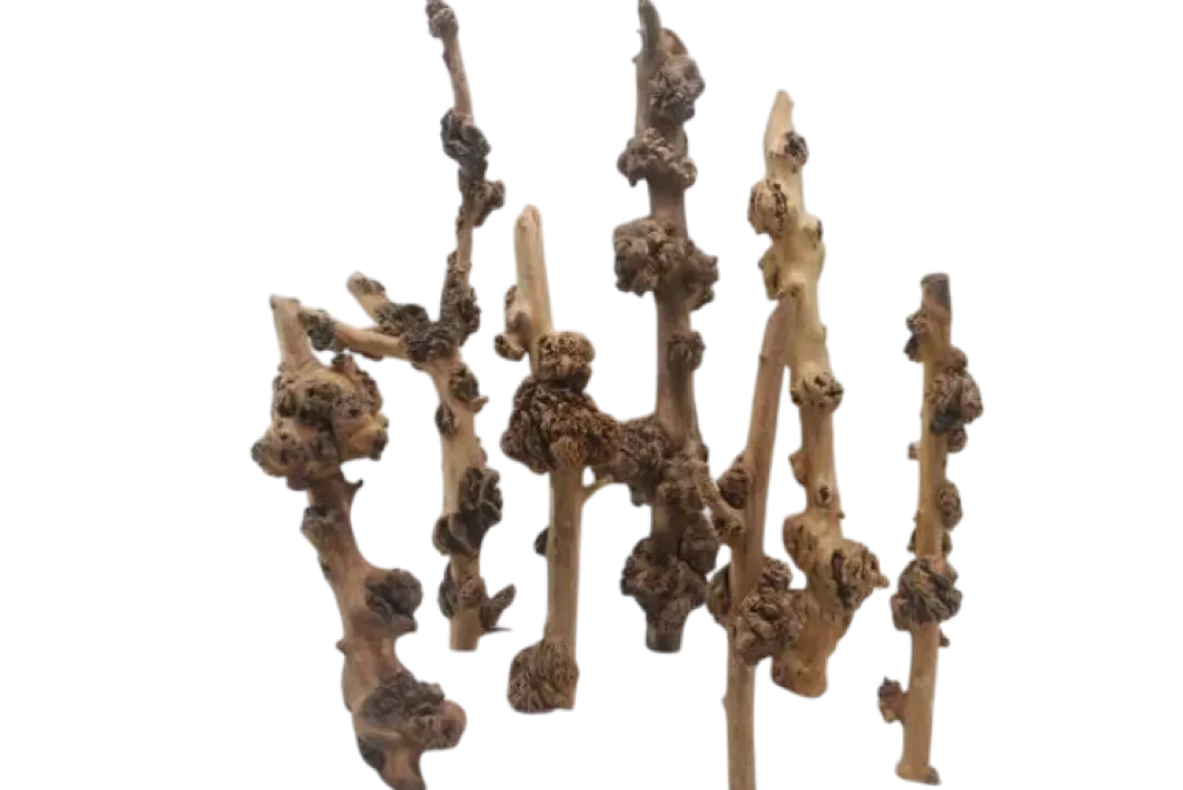 Dekoration til Akvarier og Terrarier SavaWood 50-70 cm. x Ø2-5cm