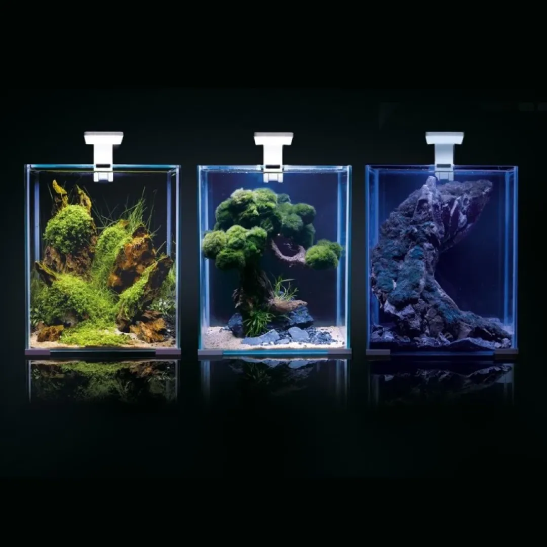 Aquael Shrimpset Day and Night 20 L akvarium 25x25x30 cm Sort