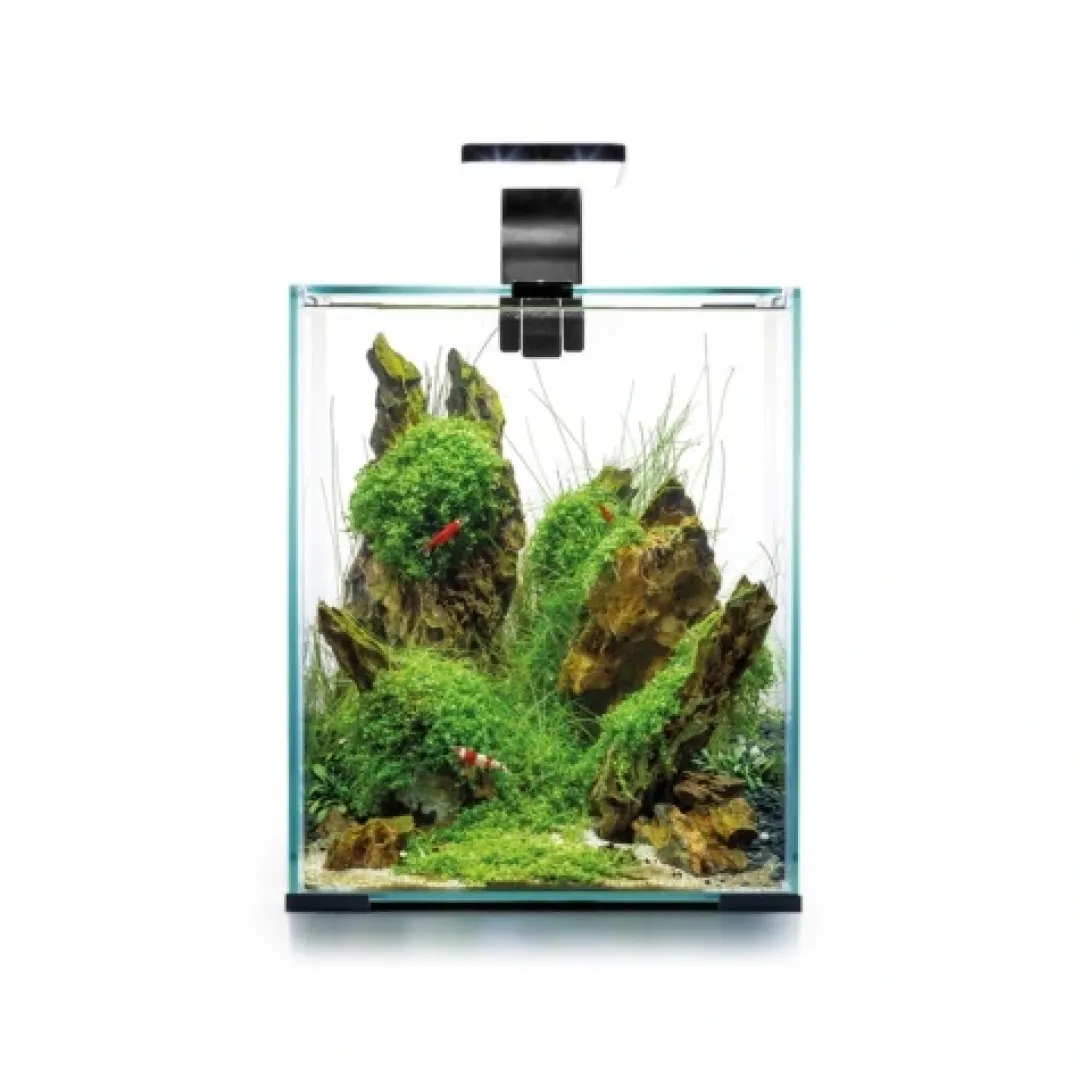 Aquael Shrimpset Day and Night 30 L akvarium 29x29x35 cm Sort