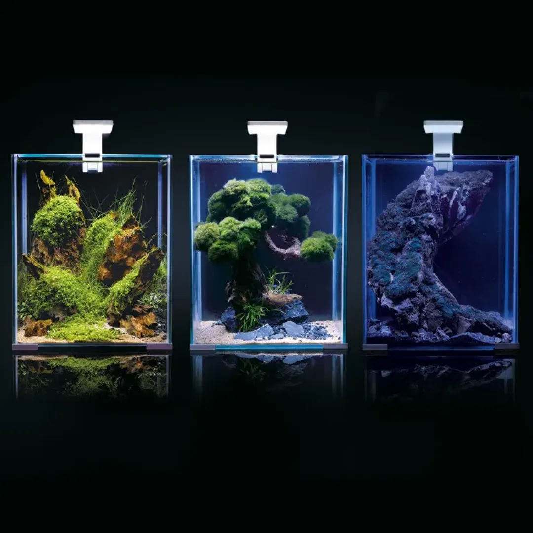 Aquael Shrimpset Day and Night 20 L 25x25x30 cm Hvid
