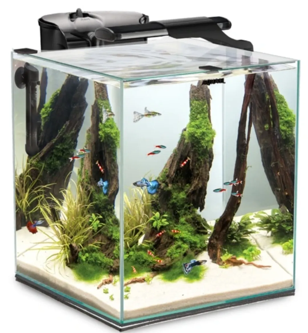 Aquael Shrimpset Duo 49 L 35x35x40cm Sort