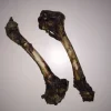 Snackit Kvalitetssnacks til hunde Snackit hjorteben ca 20 cm