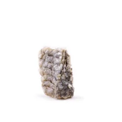 Snackit Kvalitetssnacks til hunde Snackit Lakseskind Mini Ruller 100 g - naturlige hundesnacks
