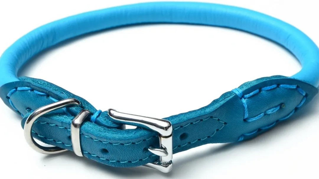 MiniZoo Timely halsbånd i rundsyet læder blå 40 cm - skånsom komfort til mellemstore hunde