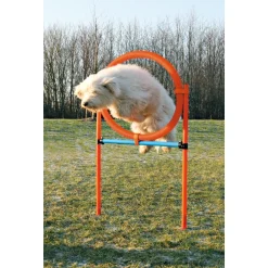 Trixie Agility Ring - sjov træning til hunde