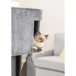 Trixie Kradsetræ Kattetårn Active med klatrerampe 122 cm