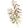 Tropica Akvarieplanter Tropica Proserpinaca palustris 1-2-GROW x 3