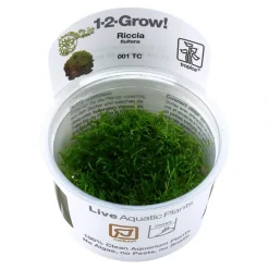 Tropica Akvarieplanter Tropica Riccia fluitans 1-2-GROW