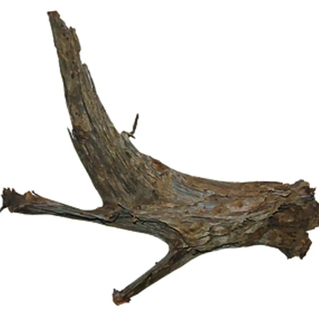 Dekoration til Akvarier og Terrarier Trærod (Mangrovetræ) XXL 60-80 cm