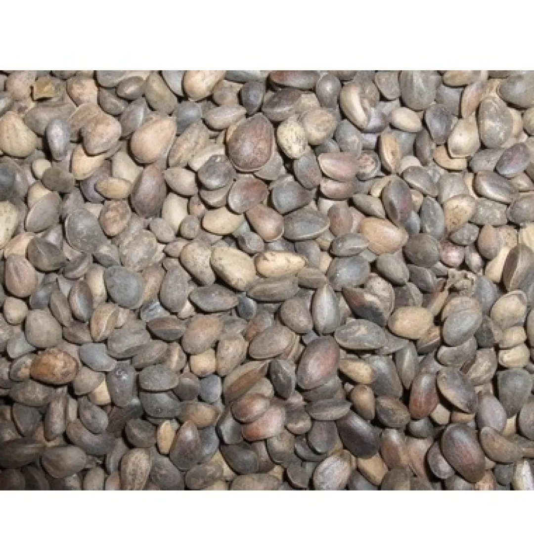 Fuglefoder Tyroler nødder 25 kg