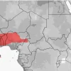 Krybdyr fra hele Verden Vestafrikansk Tykhalegecko - Hemiteconyx caudicinctus