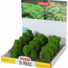 MiniZoo Zolux Kipouss Pebble Stone With Live Plant Seeds